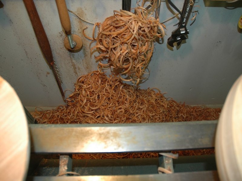 Shavings to play in